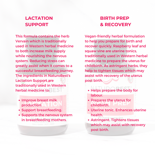 Birth + Breastfeeding Bundle