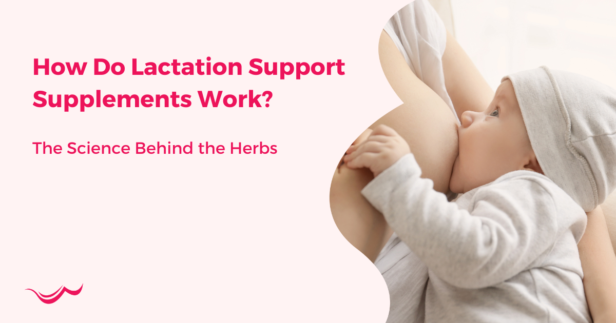 How Do Lactation Support Supplements Work? The Science Behind the Herbs