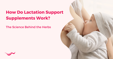How Do Lactation Support Supplements Work? The Science Behind the Herbs
