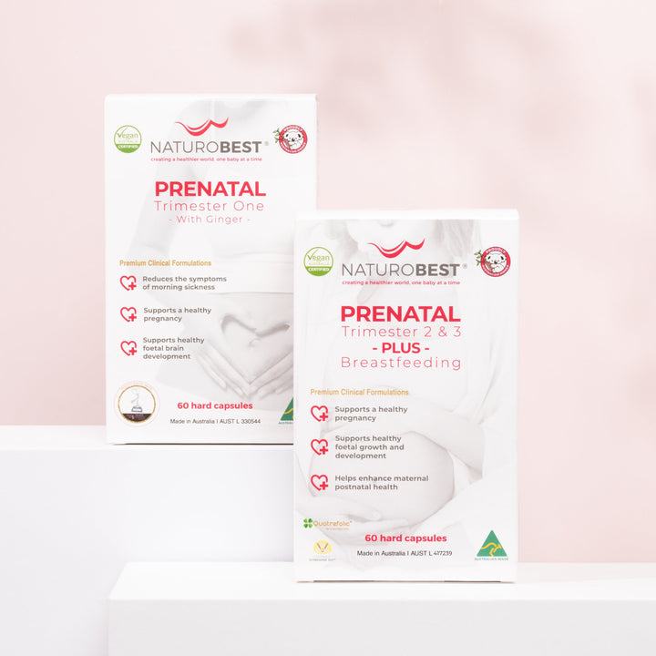 Premium Prenatal Vitamins for Each Trimester