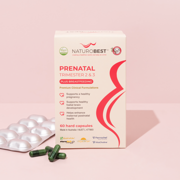 Prenatal Trimester 2 & 3 Plus Breastfeeding | Pregnancy & Breastfeeding Vitamins