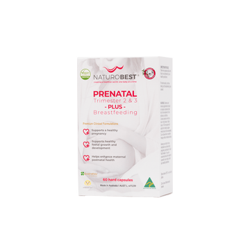 Prenatal Trimester 2 & 3 Plus Breastfeeding - Carton of 72 packs - Wholesale