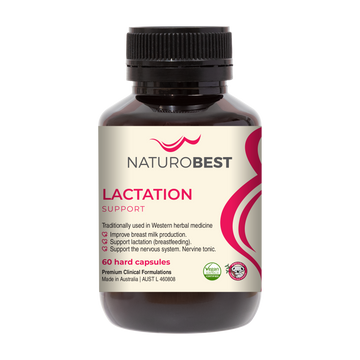 Lactation Support