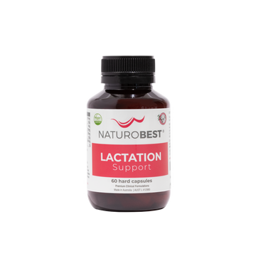 Lactation Support - Carton
