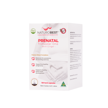 Prenatal Trimester One with Ginger 120s - Carton