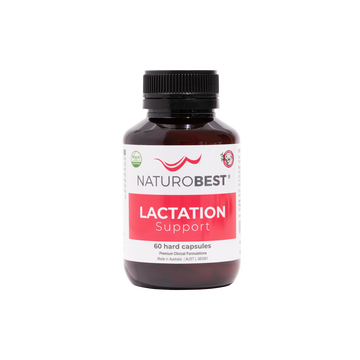 Lactation Support 6-Pack | Buy 5, Get 1 Free!